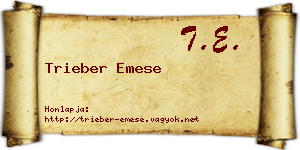 Trieber Emese névjegykártya